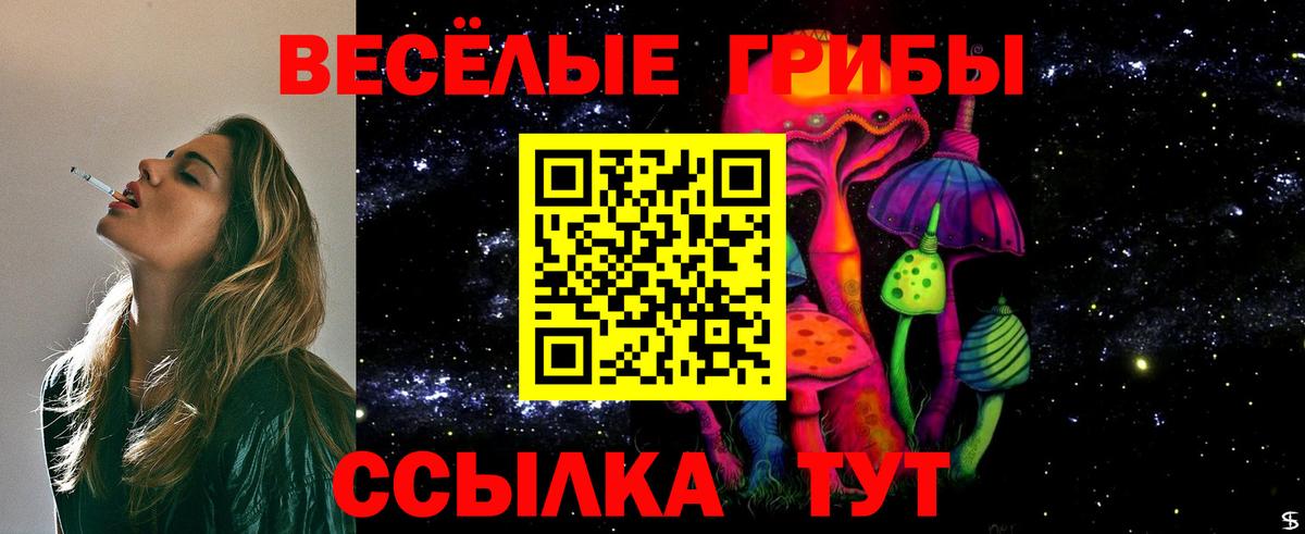 Астрахань  Галлюциногенные грибы прущие грибы  хочу   Псилоцибиновые грибы GOLDEN TEACHER  Вход с VPN 