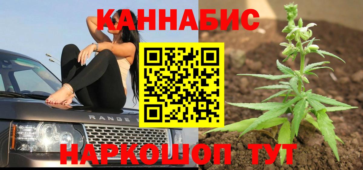 Бошки марихуана планчик Астрахань